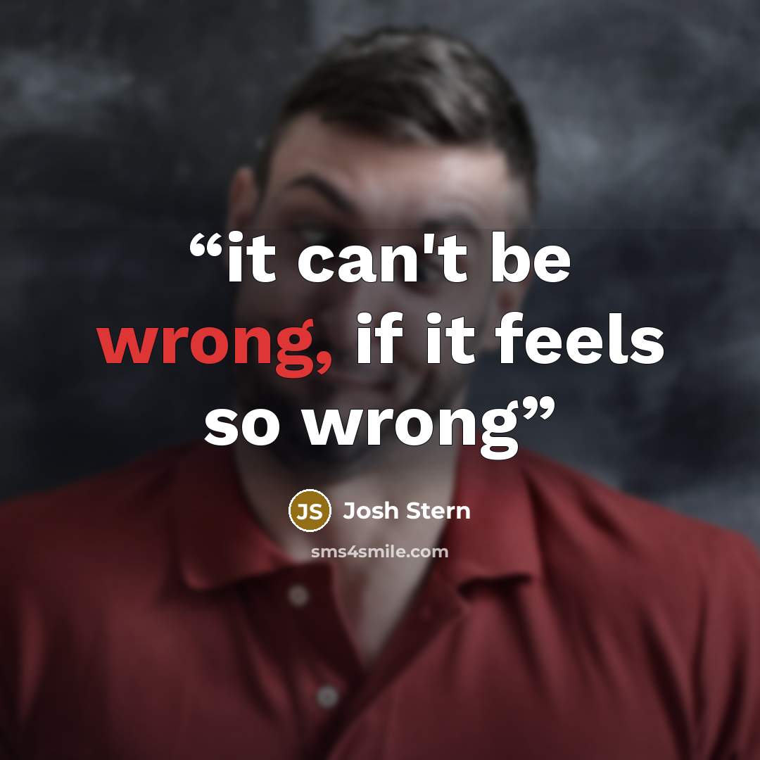 “it can't be wrong, if it feels so wrong” quote by Josh Stern