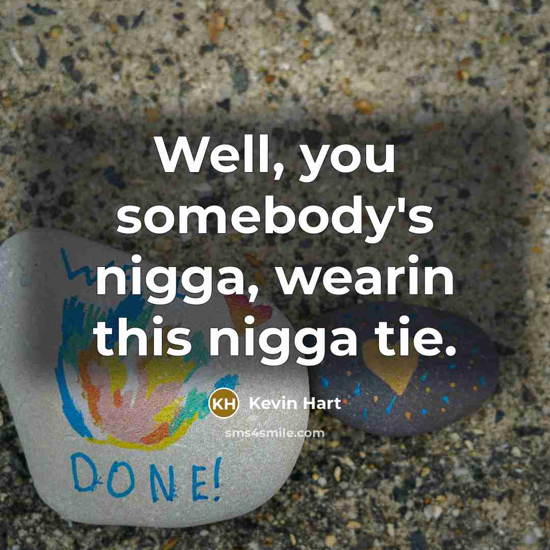 “Well, you somebody's nigga, wearin this nigga tie.” quote by Kevin Hart