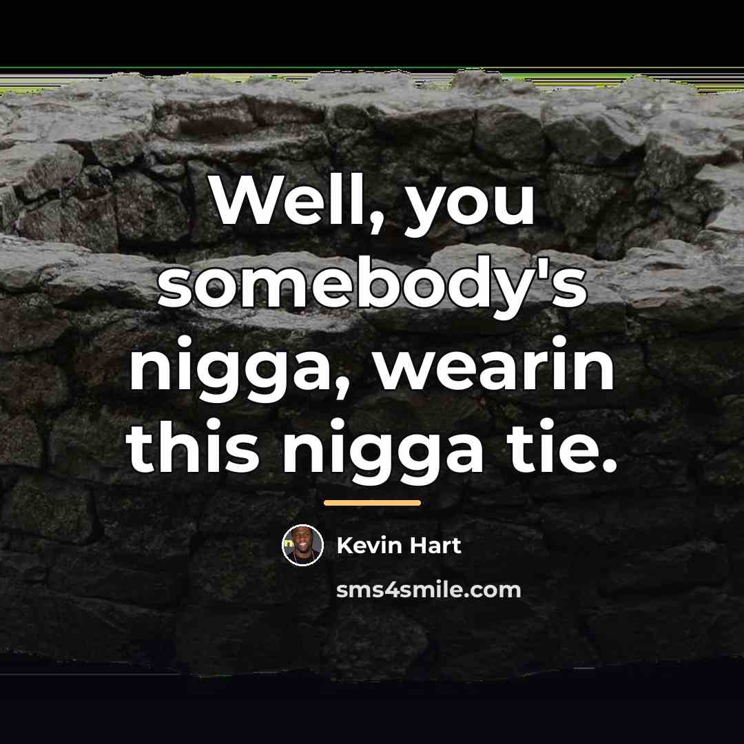 “Well, you somebody's nigga, wearin this nigga tie.…” quote by Kevin Hart