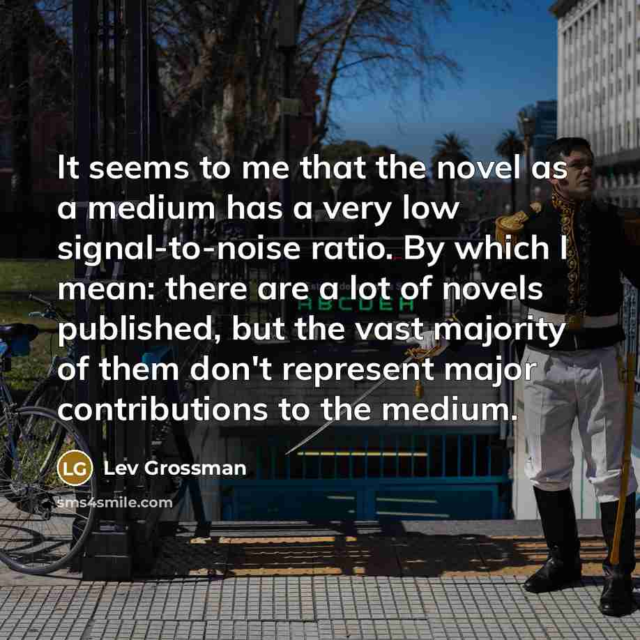 “It seems to me that the novel as a medium…” quote by Lev Grossman