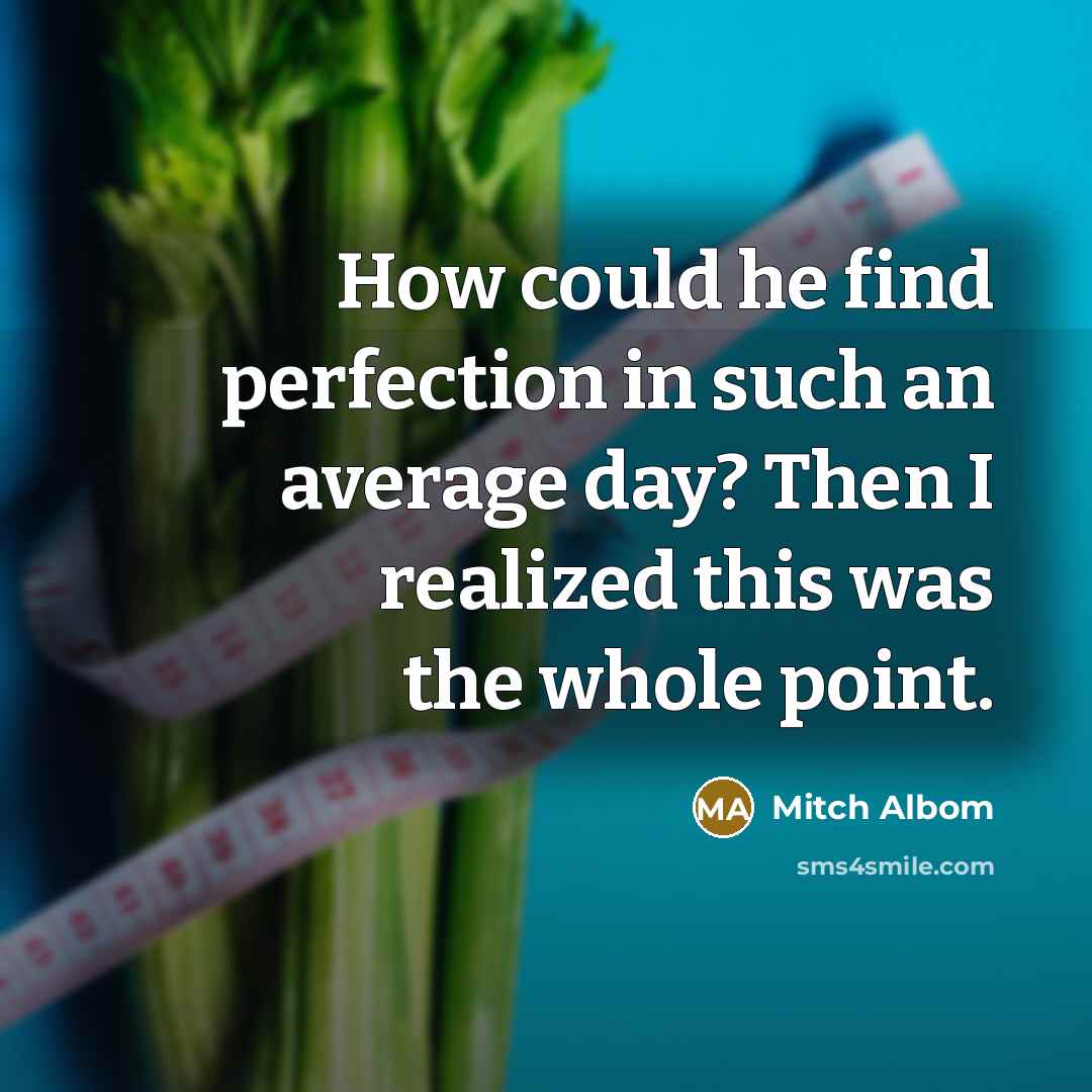 “How could he find perfection in such an average day?…” quote by Mitch Albom