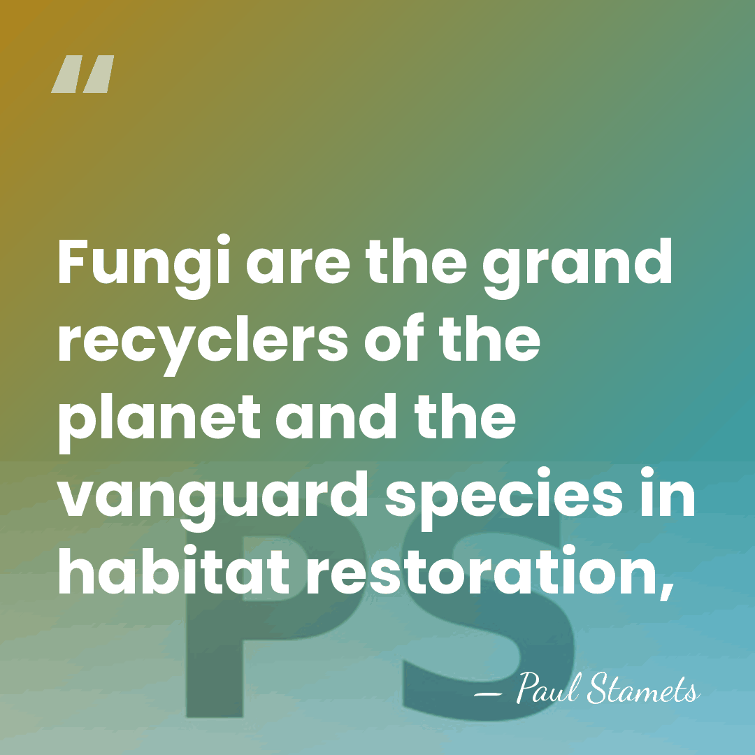 Fungi are the grand recyclers of the planet and the vanguard species&hellip; - Paul Stamets