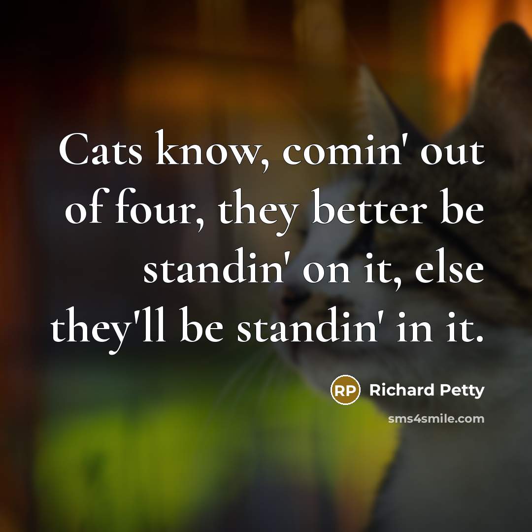“Cats know, comin' out of four, they better be standin'…” quote by Richard Petty
