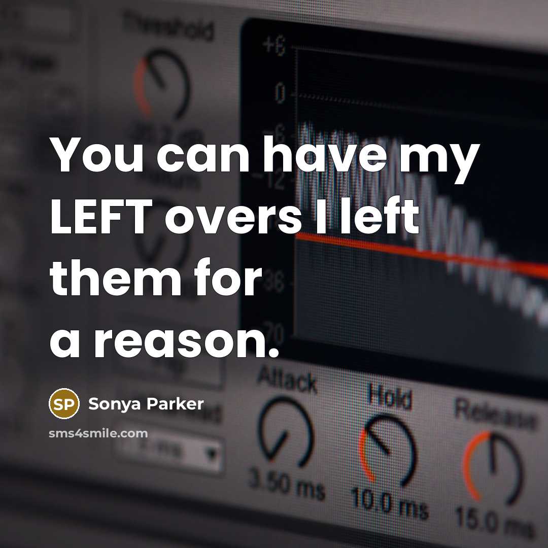 “You can have my LEFT overs I left them for a reason.” quote by SONYA PARKER