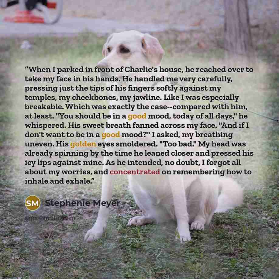 “When I parked in front of Charlie's house, he reached over to take my face in his hands. He handled me very carefully, pressing just the tips of his fingers softly against my temples, my cheekbones, my jawline. Like I was especially breakable. Which was exactly the case--compared with him, at…” quote by Stephenie Meyer