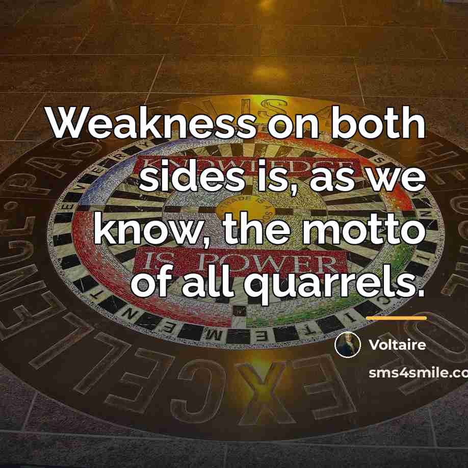 “Weakness on both sides is, as we know, the motto…” quote by Voltaire