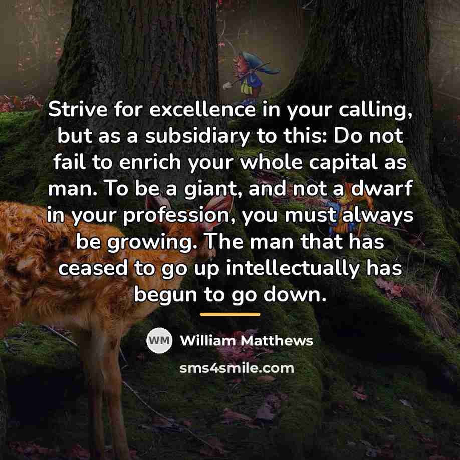 “Strive for excellence in your calling, but as a subsidiary…” quote by William Matthews