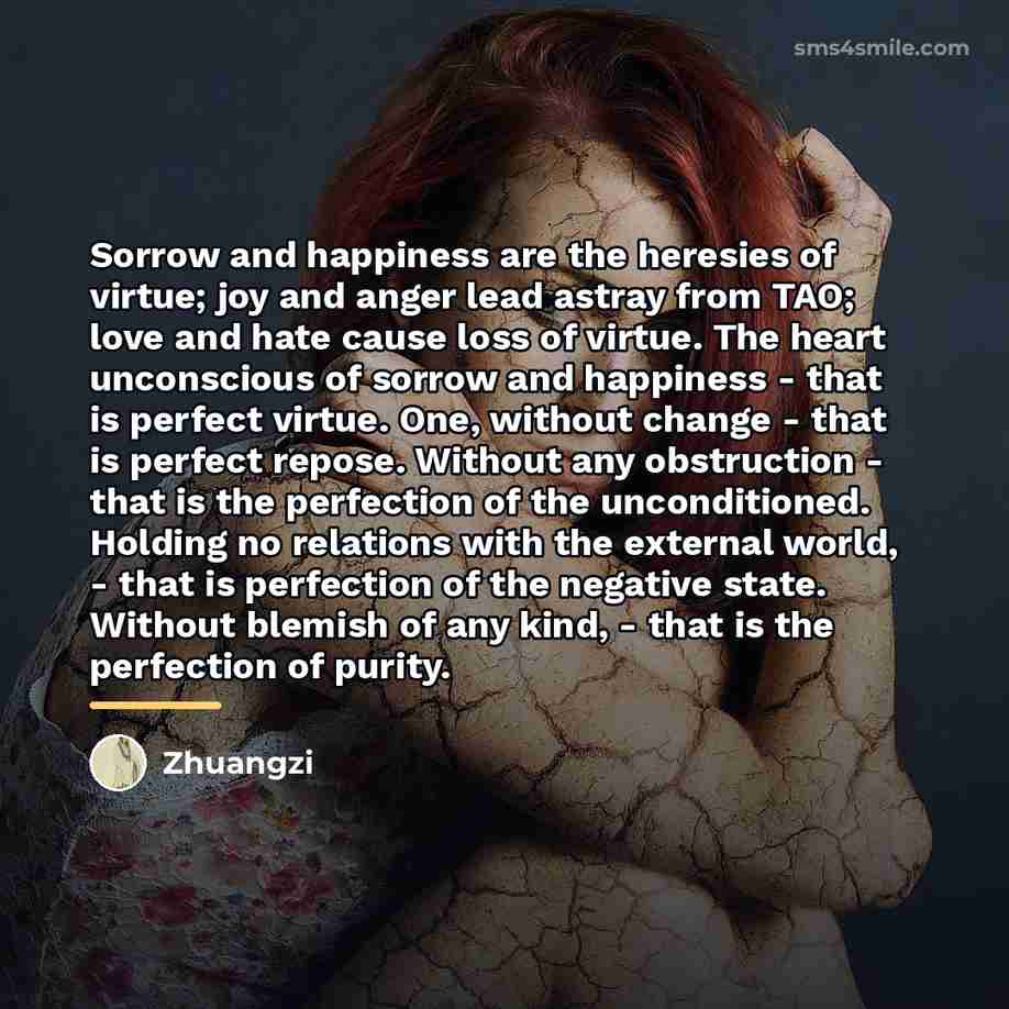 “Sorrow and happiness are the heresies of virtue; joy and…” quote by Zhuangzi