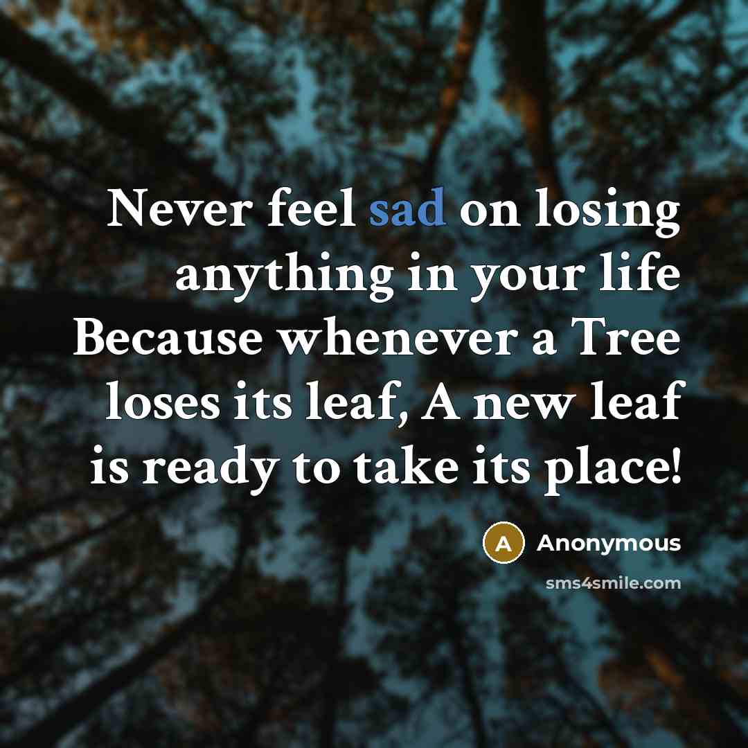 “Never feel sad on losing anything in your life Because whenever a Tree loses its leaf, A new leaf is ready to take its place!” quote by Anonymous