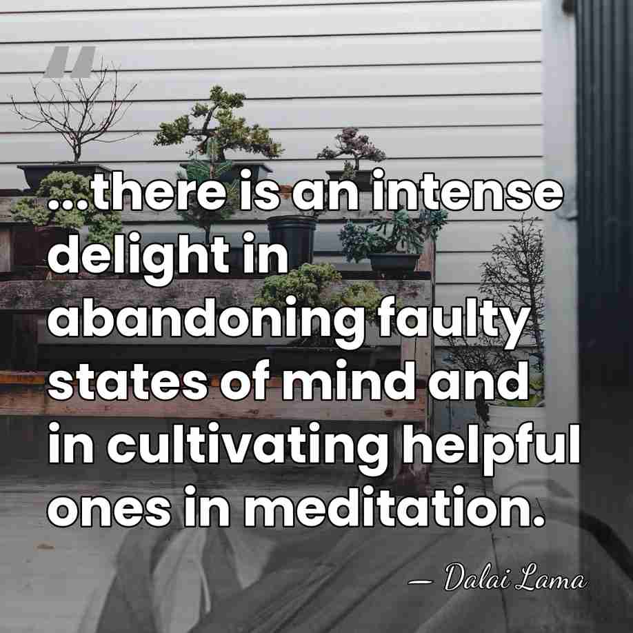 ...there is an intense delight in abandoning faulty states of mind and&hellip; - Dalai Lama