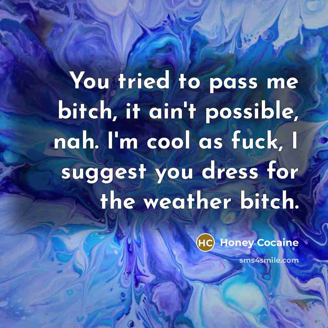 “You tried to pass me bitch, it ain't possible, nah.…” quote by Honey Cocaine