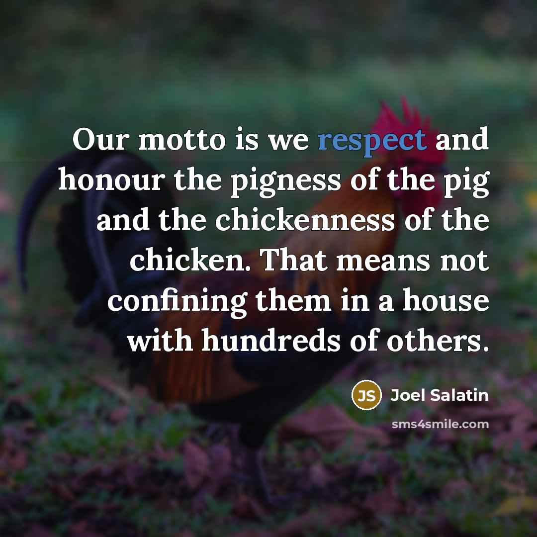 “Our motto is we respect and honour the pigness of…” quote by Joel Salatin