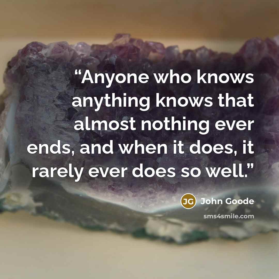 “Anyone who knows anything knows that almost nothing ever ends, and when it does, it rarely ever does so well.” quote by John Goode