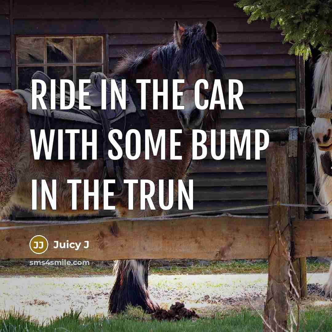 “Ride in the car with some bump in the trun…” quote by Juicy J