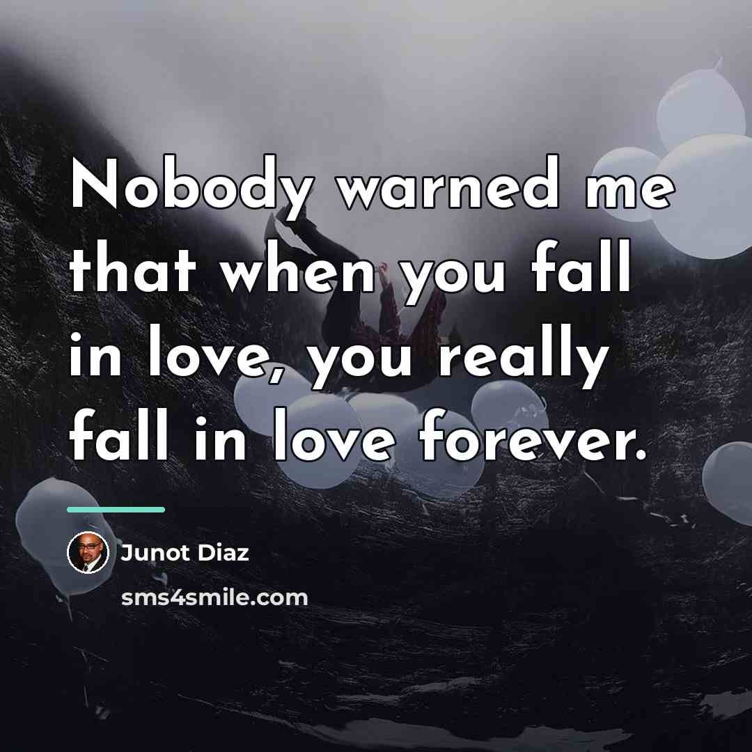 “Nobody warned me that when you fall in love, you…” quote by Junot Diaz