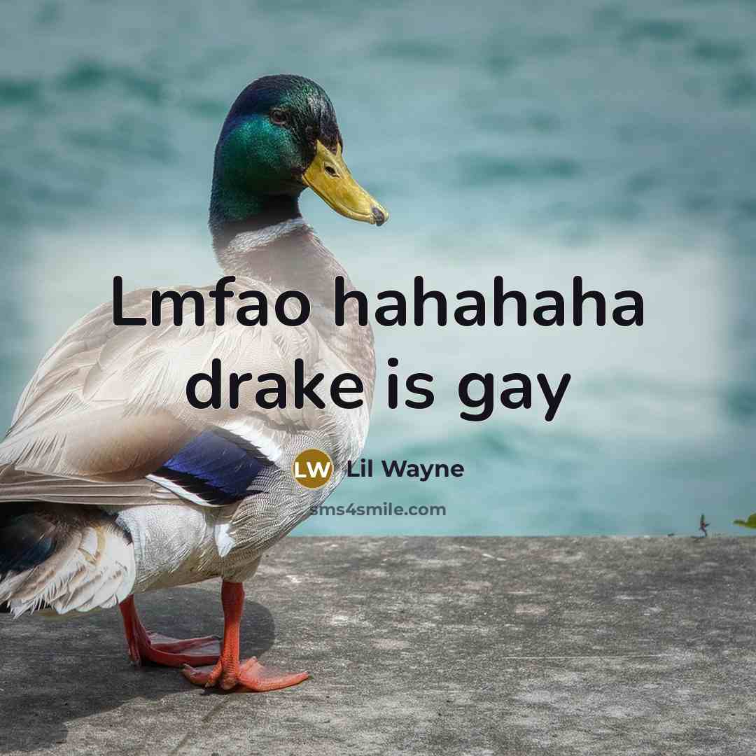 “Lmfao hahahaha drake is gay” quote by Lil Wayne