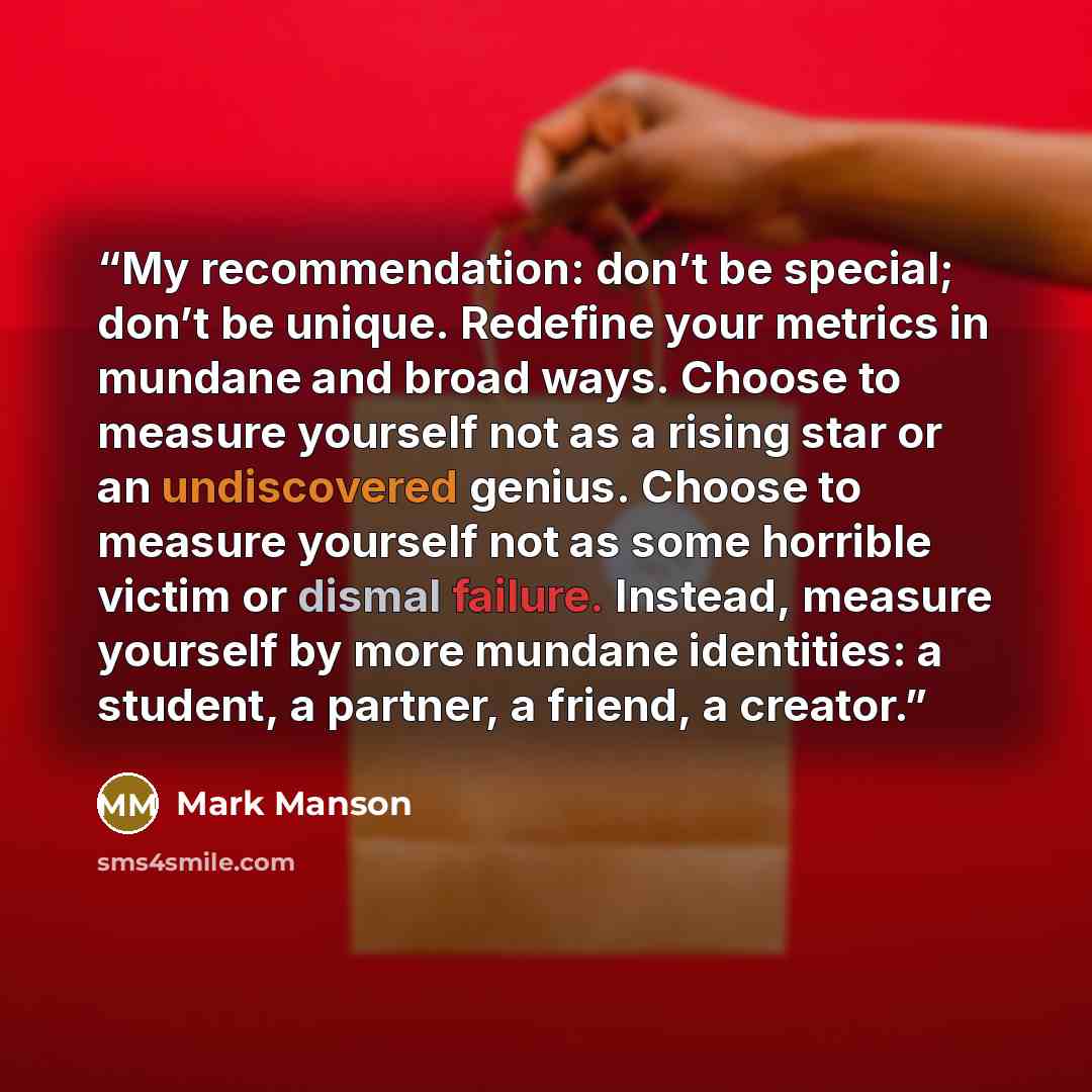 “My recommendation: don’t be special; don’t be unique. Redefine your metrics in mundane and broad ways. Choose to measure yourself not as a rising star or an undiscovered genius. Choose to measure yourself not as some horrible victim or dismal failure. Instead, measure yourself by more mundane…” quote by Mark Manson