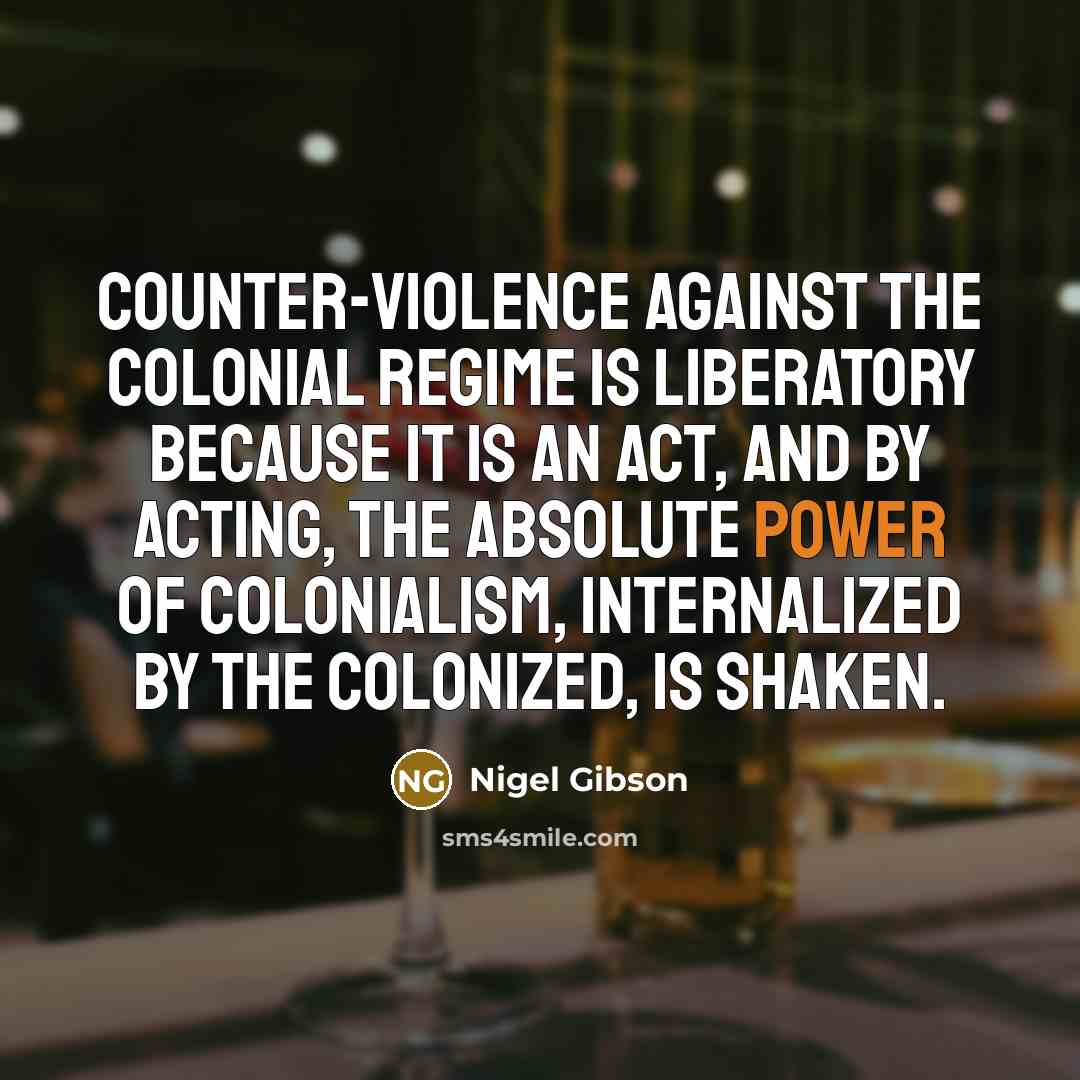 “Counter-violence against the colonial regime is liberatory because it is…” quote by Nigel Gibson