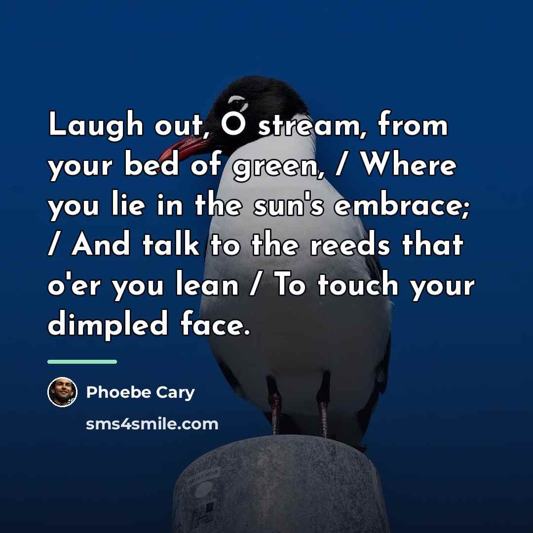 “Laugh out, O stream, from your bed of green, /…” quote by Phoebe Cary