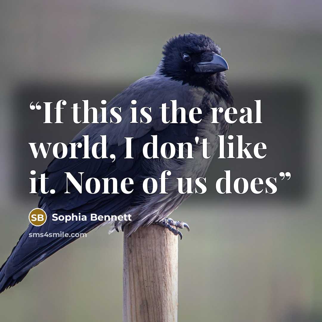 “If this is the real world, I don't like it. None of us does” quote by Sophia Bennett