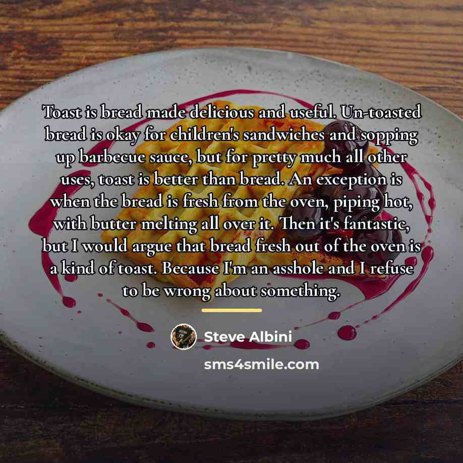 “Toast is bread made delicious and useful. Un-toasted bread is…” quote by Steve Albini