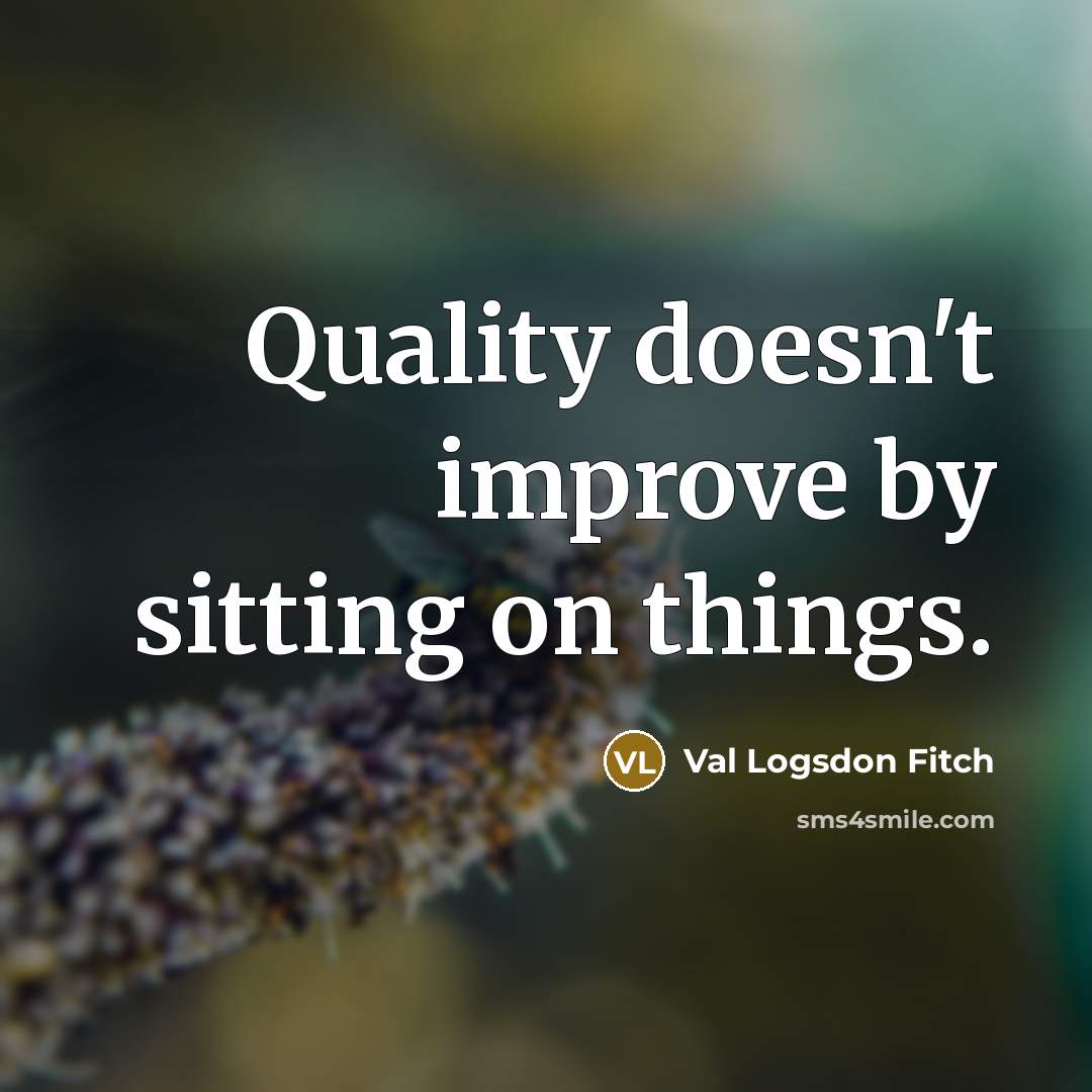 “Quality doesn't improve by sitting on things.…” quote by Val Logsdon Fitch