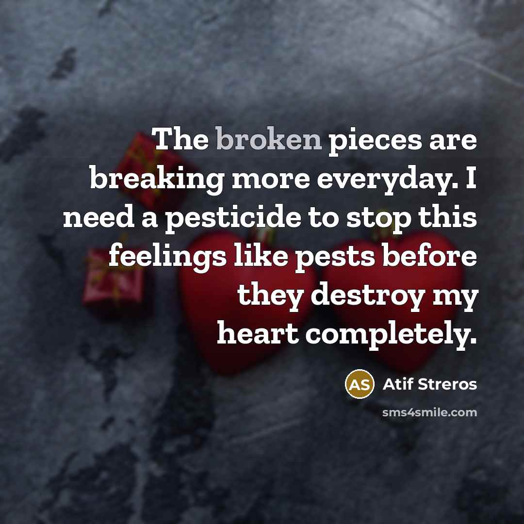 “The broken pieces are breaking more everyday. I need a…” quote by Atif Streros