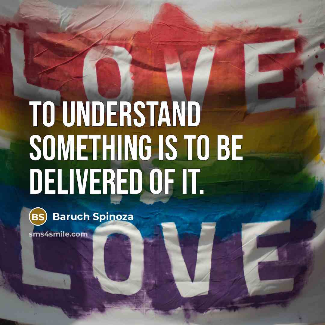 “To understand something is to be delivered of it.…” quote by Baruch Spinoza