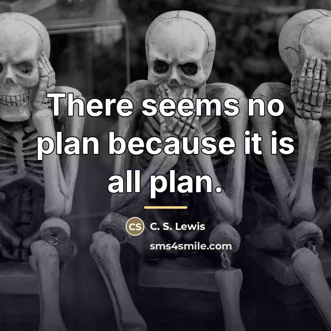 “There seems no plan because it is all plan.…” quote by C. S. Lewis