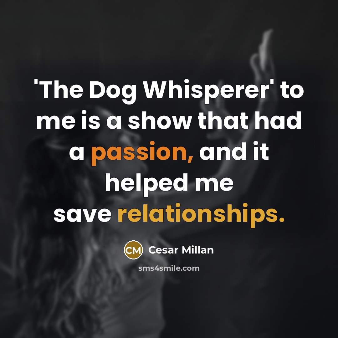 “'The Dog Whisperer' to me is a show that had…” quote by Cesar Millan