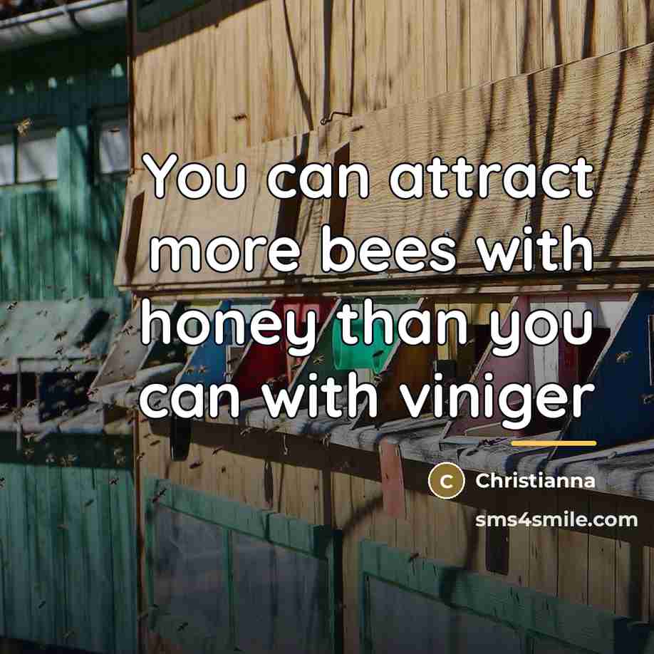“You can attract more bees with honey than you can…” quote by Anonymous