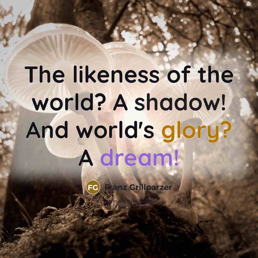 “The likeness of the world? A shadow! And world's glory?…” quote by Franz Grillparzer