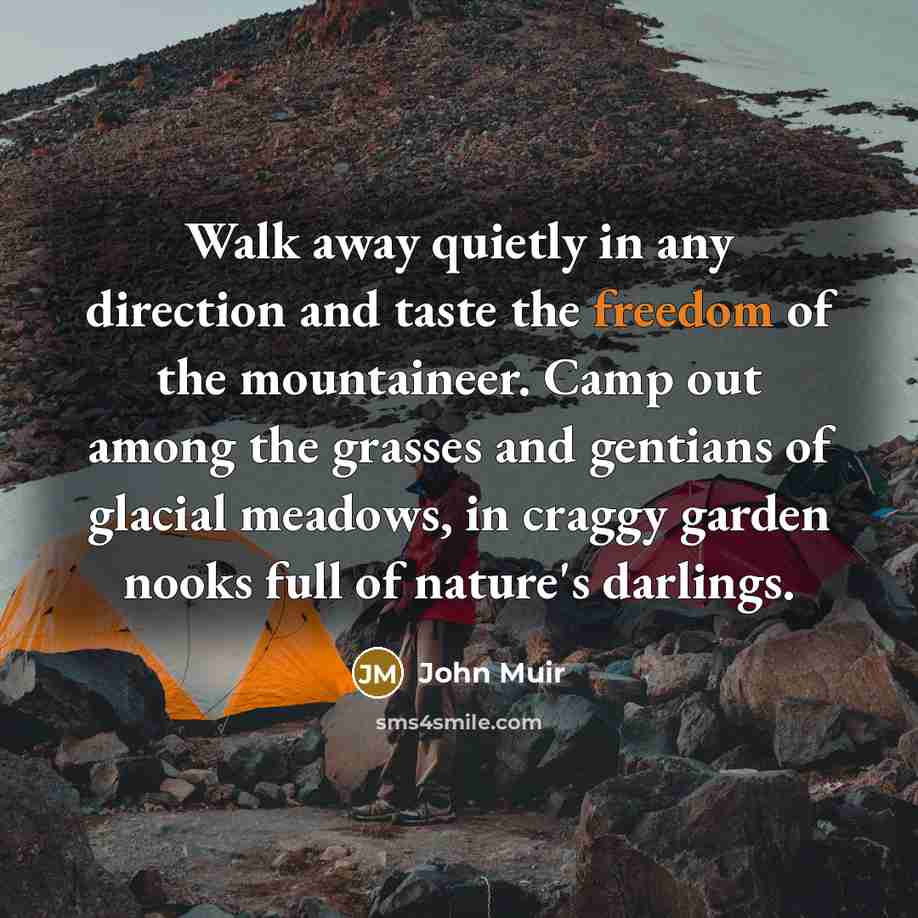 “Walk away quietly in any direction and taste the freedom…” quote by John Muir