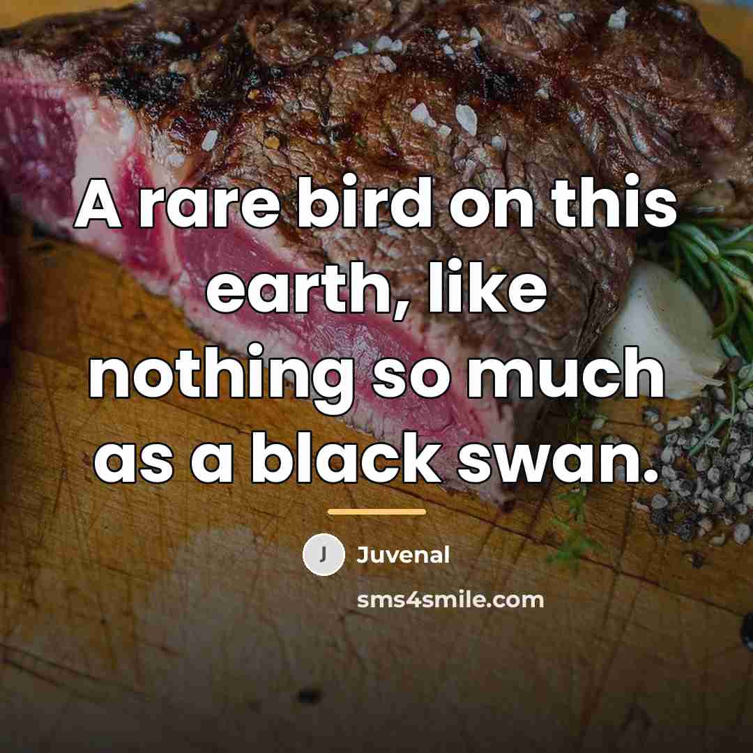 “A rare bird on this earth, like nothing so much…” quote by Juvenal