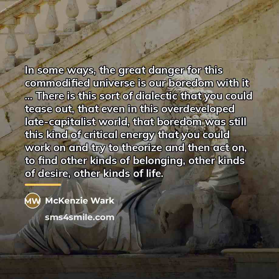 “In some ways, the great danger for this commodified universe…” quote by McKenzie Wark