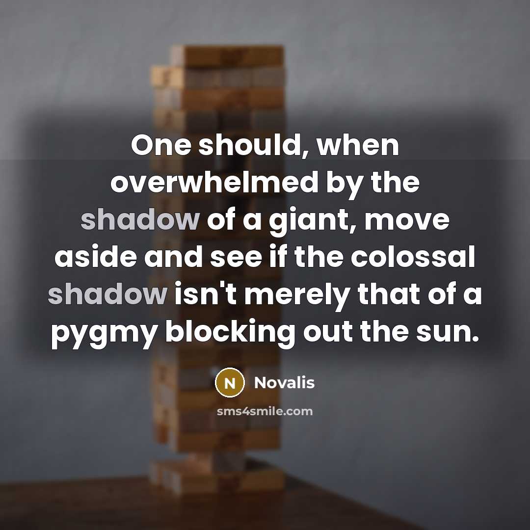 “One should, when overwhelmed by the shadow of a giant,…” quote by Novalis