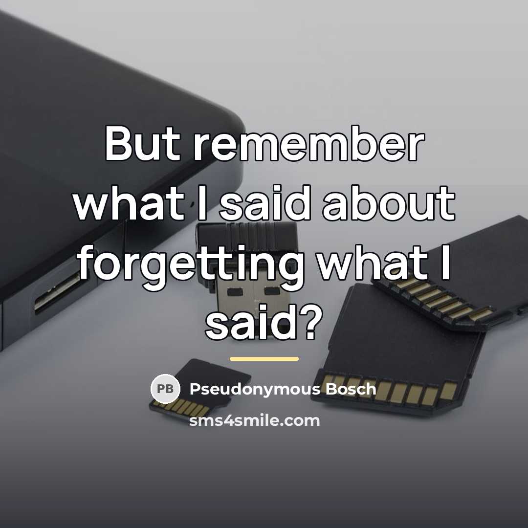 “But remember what I said about forgetting what I said?…” quote by Pseudonymous Bosch