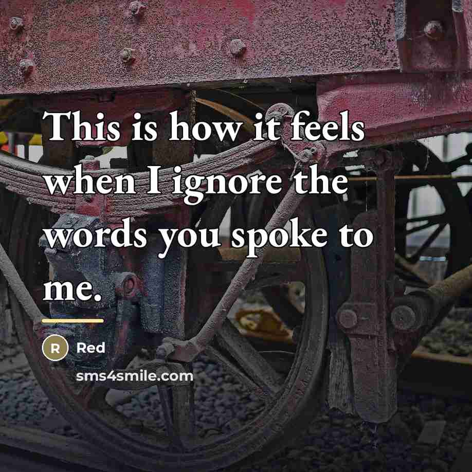 “This is how it feels when I ignore the words…” quote by Red