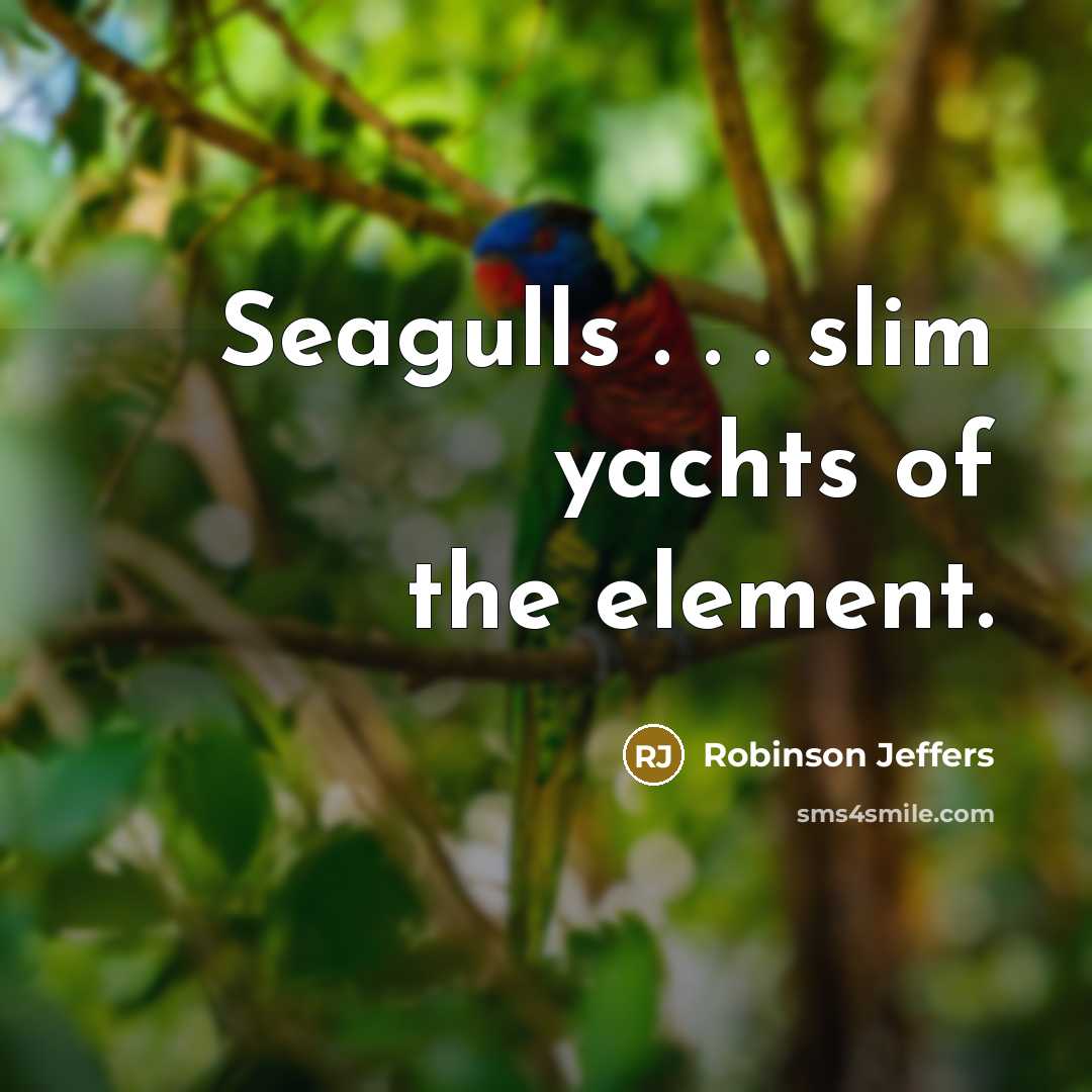 “Seagulls . . . slim yachts of the element.…” quote by Robinson Jeffers