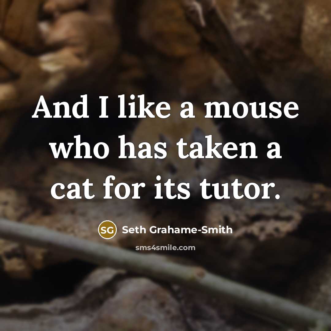 “And I like a mouse who has taken a cat…” quote by Seth Grahame-Smith