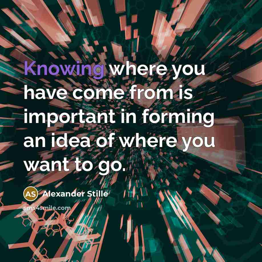 “Knowing where you have come from is important in forming an idea of where you want to go.” quote by Alexander Stille