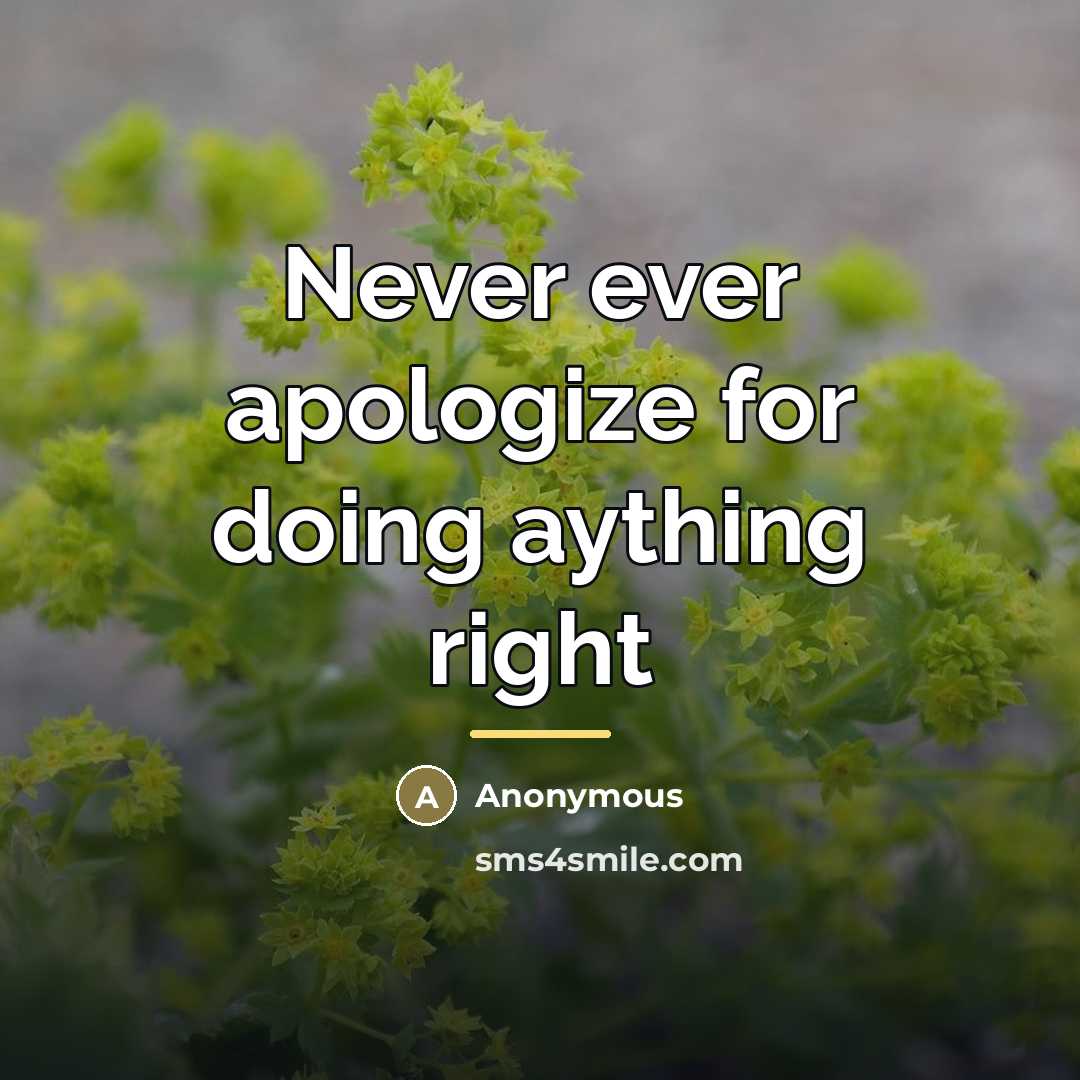 “Never ever apologize for doing aything right…” quote by Anonymous