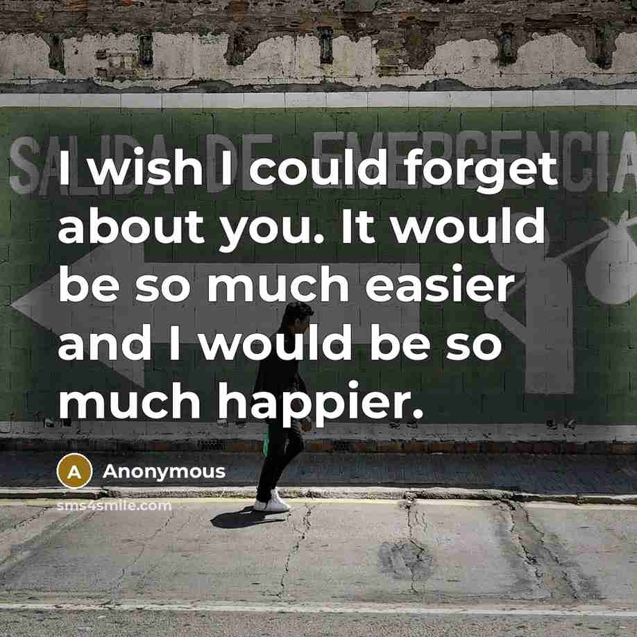 “I wish I could forget about you. It would be so much easier and I would be so much happier.” quote by Anonymous
