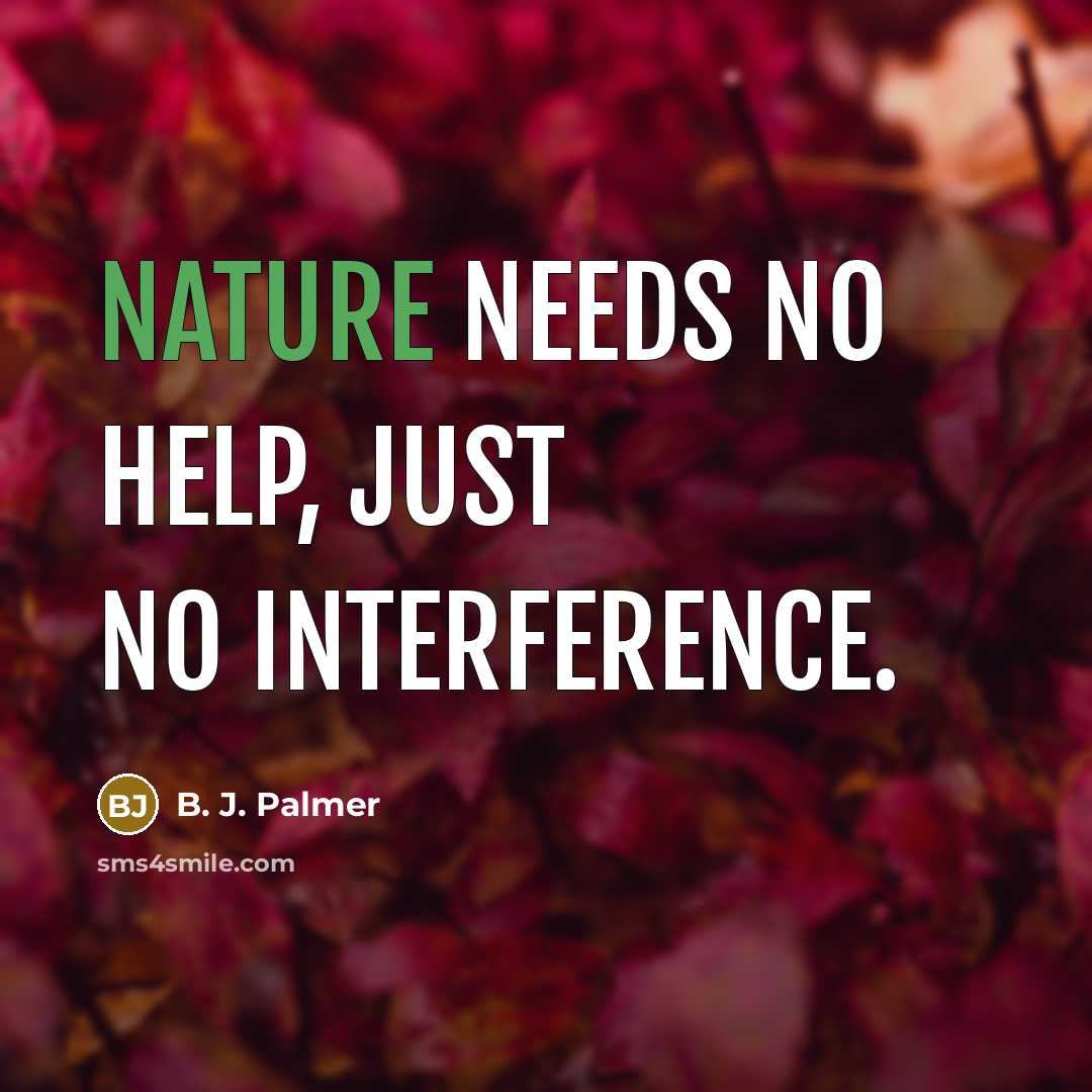 “Nature needs no help, just no interference.…” quote by B. J. Palmer