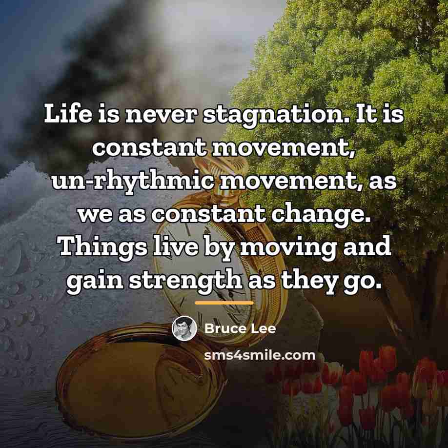“Life is never stagnation. It is constant movement, un-rhythmic movement,…” quote by Bruce Lee