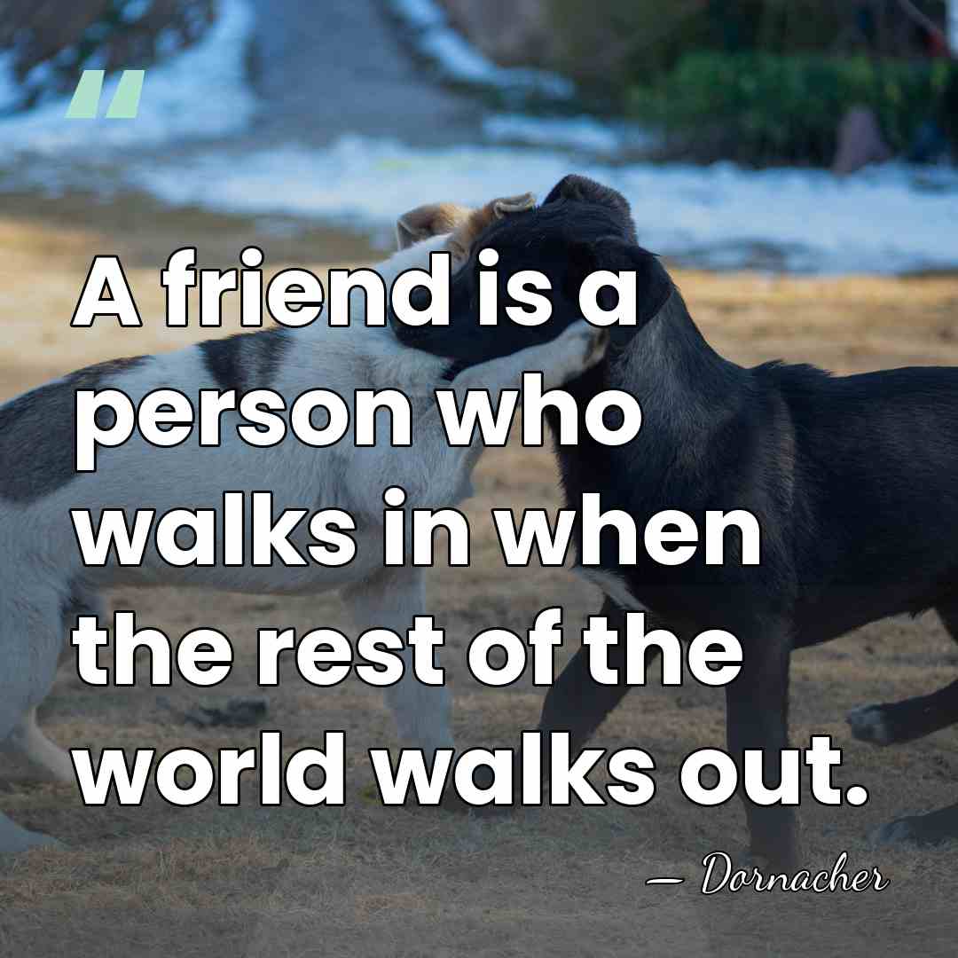 A friend is a person who walks in when the rest of&hellip; - Dornacher