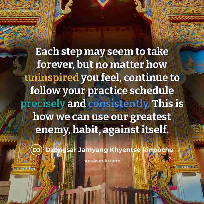 “Each step may seem to take forever, but no matter…” quote by Dzongsar Jamyang Khyentse Rinpoche