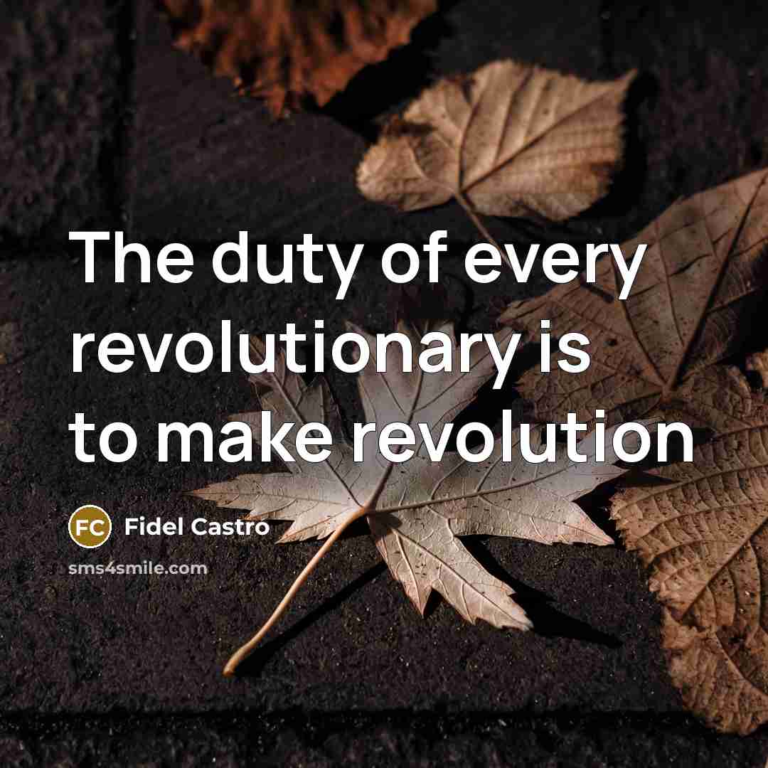 “The duty of every revolutionary is to make revolution…” quote by Fidel Castro