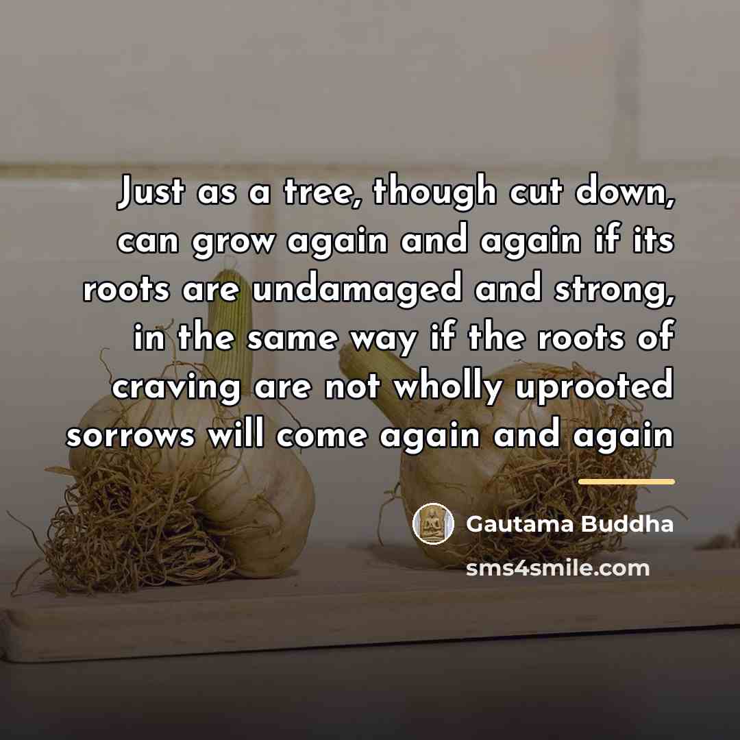 “Just as a tree, though cut down, can grow again…” quote by Gautama Buddha