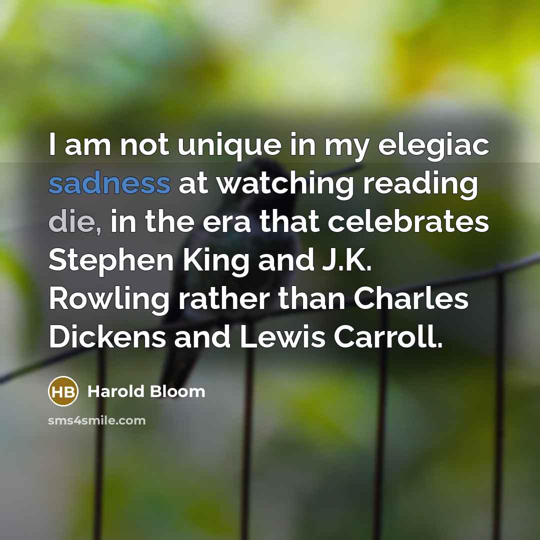 “I am not unique in my elegiac sadness at watching…” quote by Harold Bloom